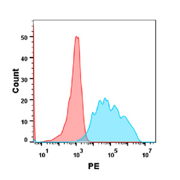 VEGFR2 Biosimilar Antibody