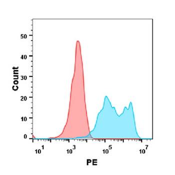 HER3 Biosimilar Antibody