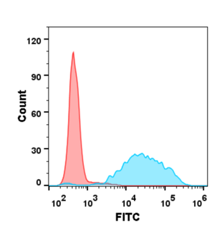 CD47 Biosimilar Antibody