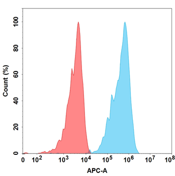 Her2 Biosimilar Antibody