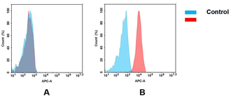 Her2 Biosimilar Antibody