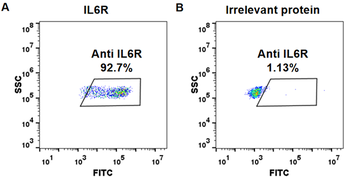 IL6R Biosimilar Antibody