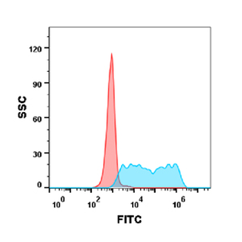 4-1BB Biosimilar Antibody