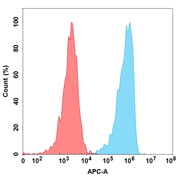 ICAM-1 Biosimilar Antibody