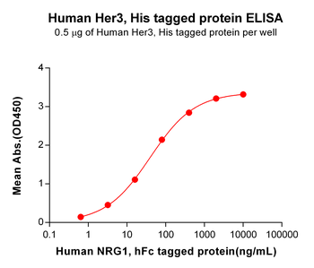 Human CCL20 Protein, hFc Tag
