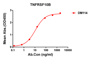 TNFRSF10B Antibody
