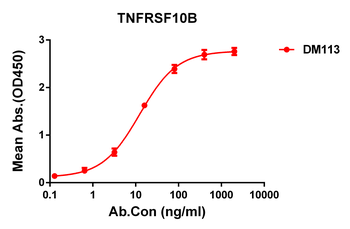 TNFRSF10B Antibody