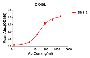 OX40 Ligand Antibody