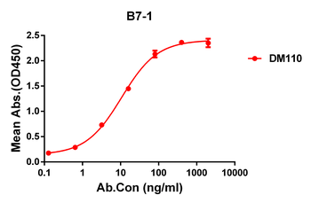 B7-1 Antibody