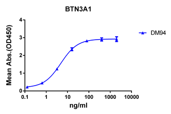 BTN3A1 Antibody