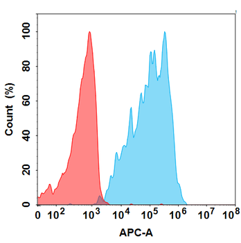 CCR8 Biosimilar Antibody