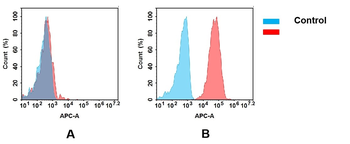 CXCR4 Biosimilar Antibody