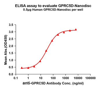 Human GPRC5D full length protein-synthetic nanodisc