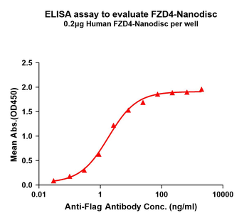 Human FZD4 full length protein-synthetic nanodisc