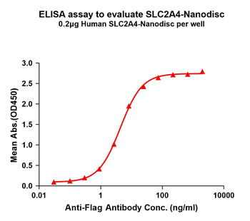 Human SLC2A4 full length protein-synthetic nanodisc