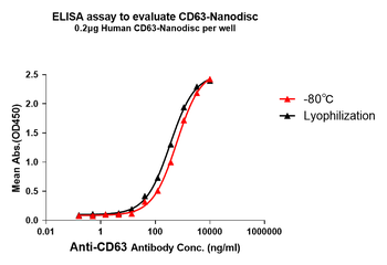 Human CD63 full length protein-synthetic nanodisc