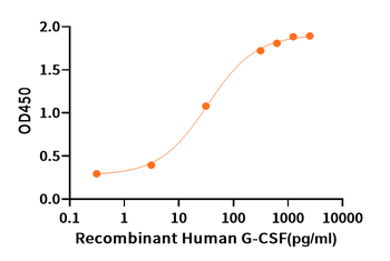 Human ACVRL1 Protein, hFc Tag