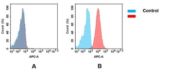 CD93 Biosimilar Antibody