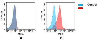 CD3E Biosimilar Antibody
