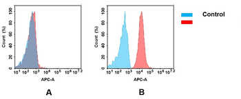 CD74 Biosimilar Antibody