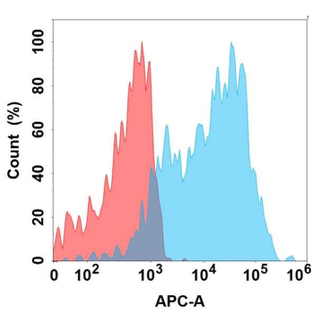 IL1A Antibody