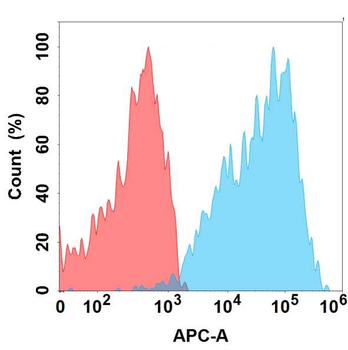 GPC1 Antibody