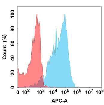 EGFR Biosimilar Antibody