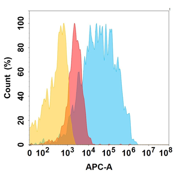 EGFR Biosimilar Antibody