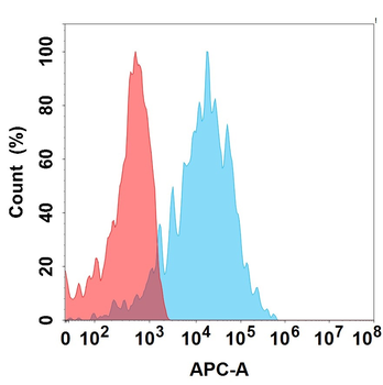HER3 Biosimilar Antibody