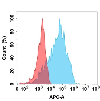 IL1RAP Biosimilar Antibody