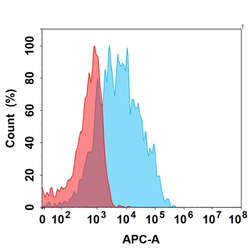 IL13RA1 Biosimilar Antibody