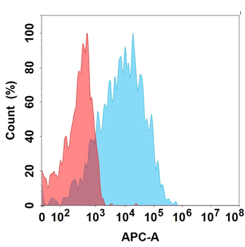 CDH6 Biosimilar Antibody