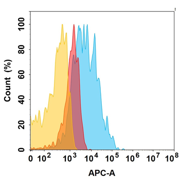 ACVR2B Biosimilar Antibody