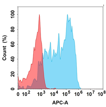 GM-CSFR Biosimilar Antibody