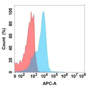 CD19 Antibody