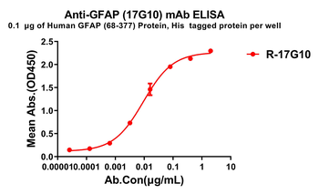 GFAP Antibody