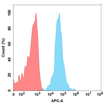 CS1 Biosimilar Antibody