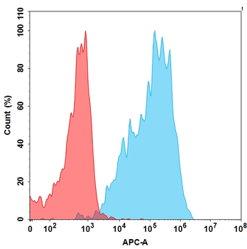 BCMA Biosimilar Antibody