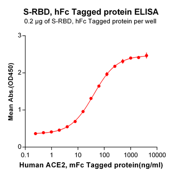 Human GITR Protein, hFc-His tag