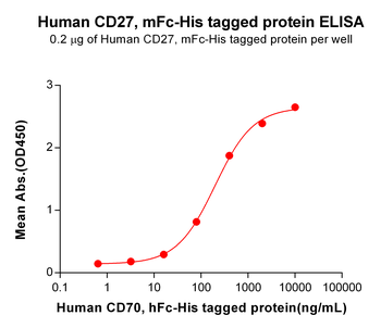 Human OX40 Protein, hFc-His tag