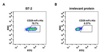 Human PD-L1 Protein, mFc-His tag