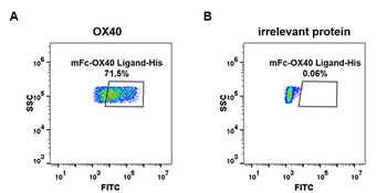 Human IL6 Protein, mFc-His Tag