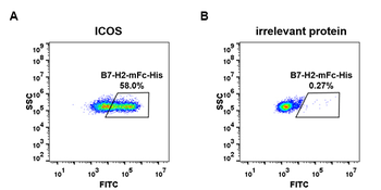 Human CD30 Ligand Protein, mFc-His Tag