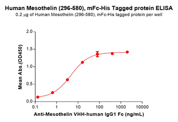 Human BAFF Protein, hFc Tag
