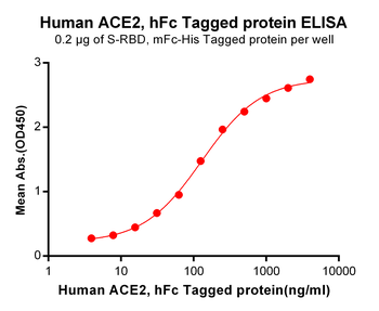 Human IL2RB Protein, His Tag