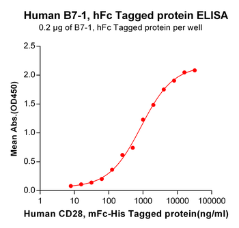 Human NKp30 Protein, hFc Tag