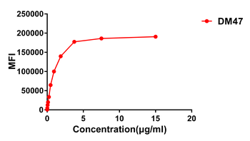 ACE2 Antibody