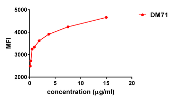 Mesothelin Antibody