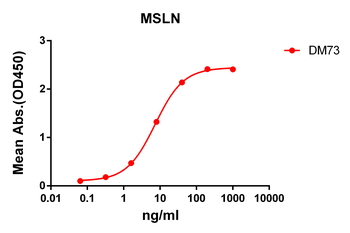 Mesothelin Antibody