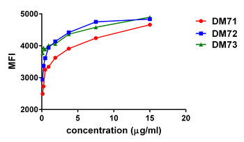 Mesothelin Antibody